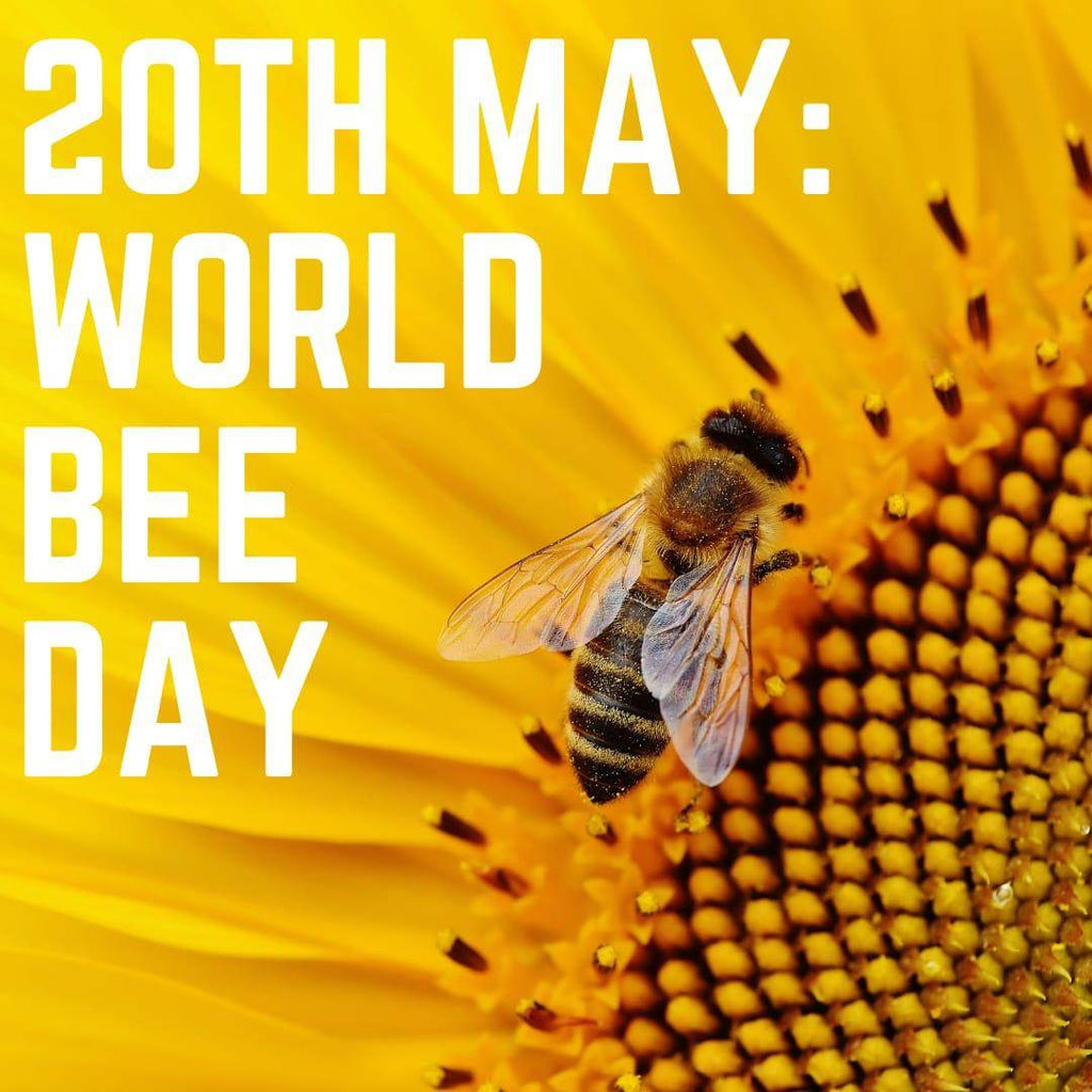 World Bee Day 2021