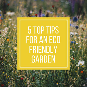 5 Top Tips For An Eco Friendly Garden!