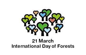 International Day of Forests: A Path to Recovery and Well-Being