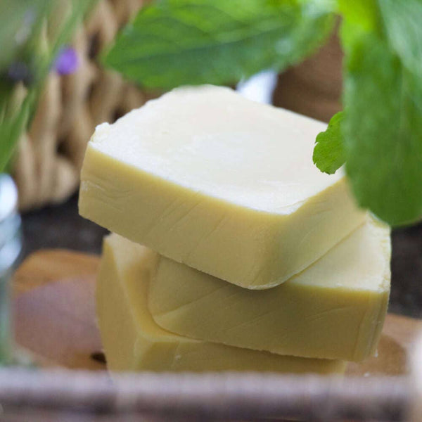 Gentle Aloe Vera Soap | Green Alternatives