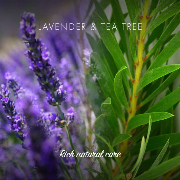 Lavender & Tea Tree Shampoo Bar - Eco Friendly | Green Alternatives